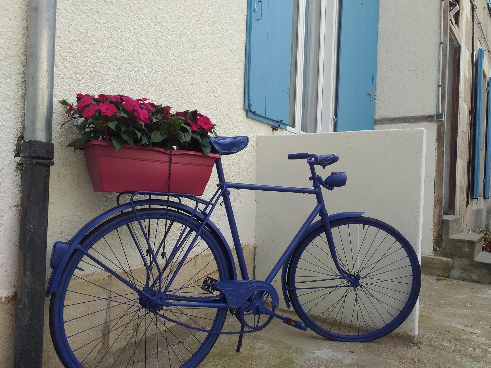 Les Volets Bleus - Deux Appartements Et Un Studio, Jardin Bourges Cameră foto